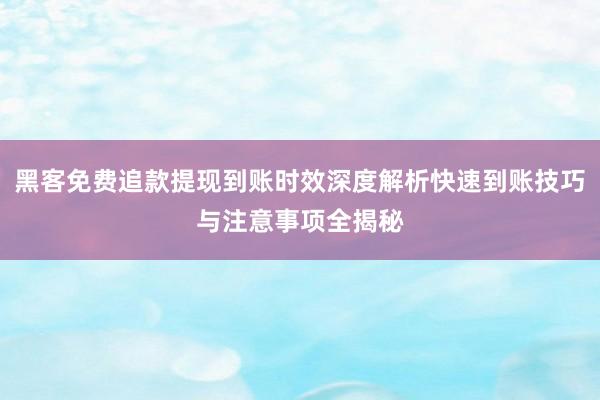 黑客免费追款提现到账时效深度解析快速到账技巧与注意事项全揭秘