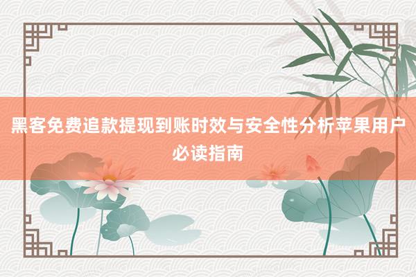黑客免费追款提现到账时效与安全性分析苹果用户必读指南